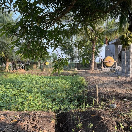 Learning farm in the Philippines provides its own electricity