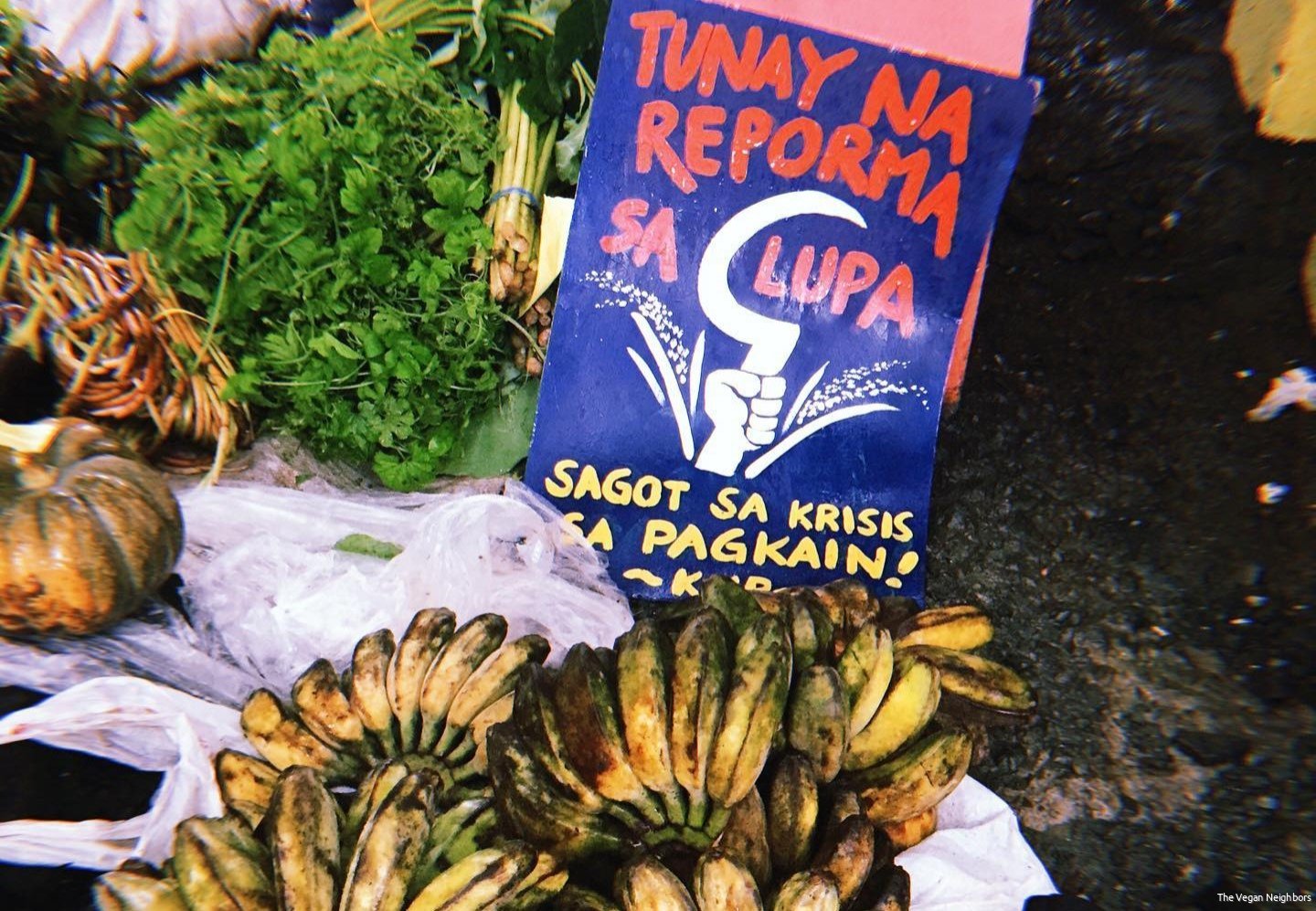 copyright _the vegan neighbors Philippines_2.jpg copyright _the vegan neighbors Philippines_2.jpg