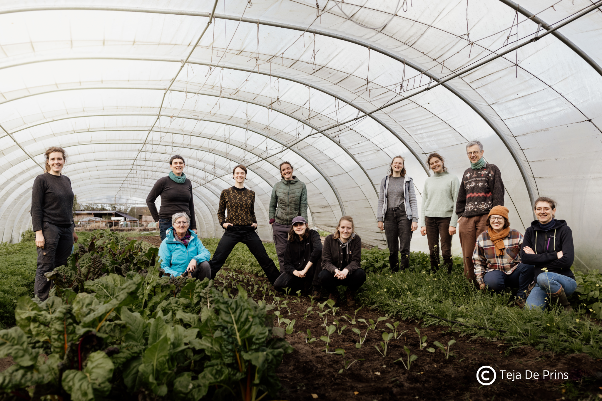 De Landbouwbrigades bij Groentegem