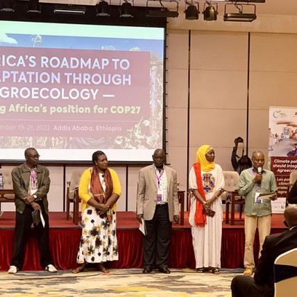 African Alliance for Food Sovereignty calls for unified agroecological position at Climate Summit