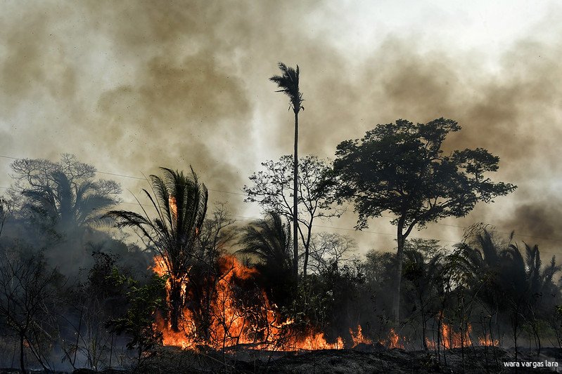 Een brandend bos in Bolivia. Foto van 2019, CC BY-NC-ND 2.0 EU Civil Protection and Humanitarian Aid 2019.jpg Een brandend bos in Bolivia. Foto van 2019, CC BY-NC-ND 2.0 EU Civil Protection and Humanitarian Aid 2019.jpg