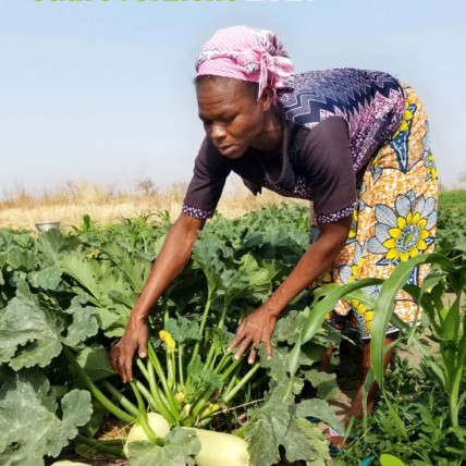 Agro-écologie au Burkina Faso (video)