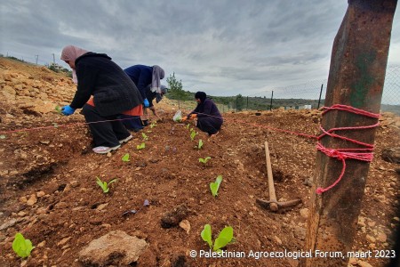 © Palestinian Agroecological Forum, maart 2023