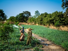 Senegalese boer.inn.en op hun agro-ecologisch veld (c) Always Hungry 2019