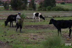 Don Oligario Don Oligario