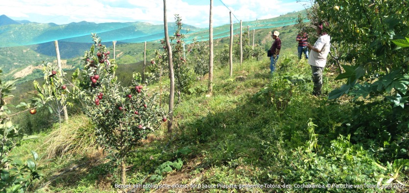 Bezoek aan ecologische akkers, dorp Sauce Pilapata, gemeente Totora, dep. Cochabamba, auteur Parochie van Totora,  april 2022.