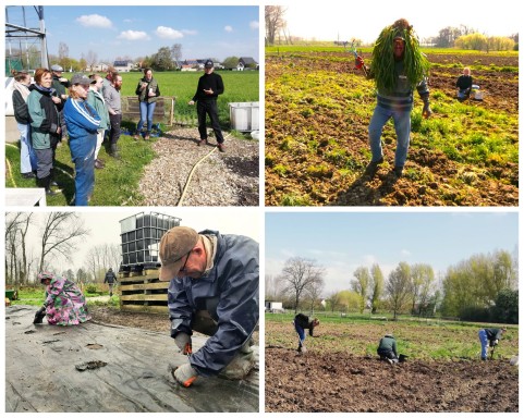 De Landbouwbrigades