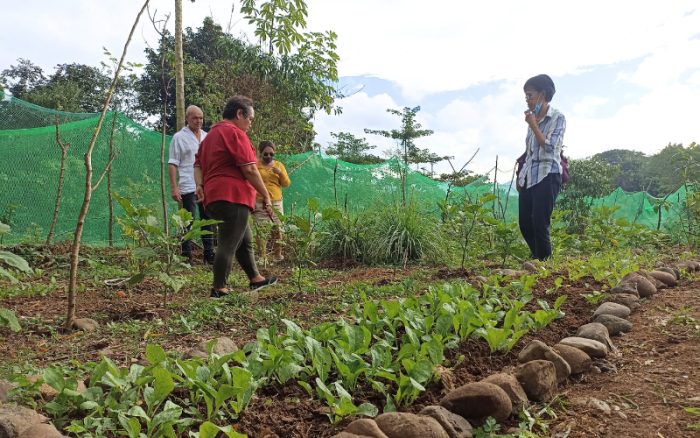 Tuin in de stadsrand Manila, aangelegd door de gemeenschap Sitio Bakal