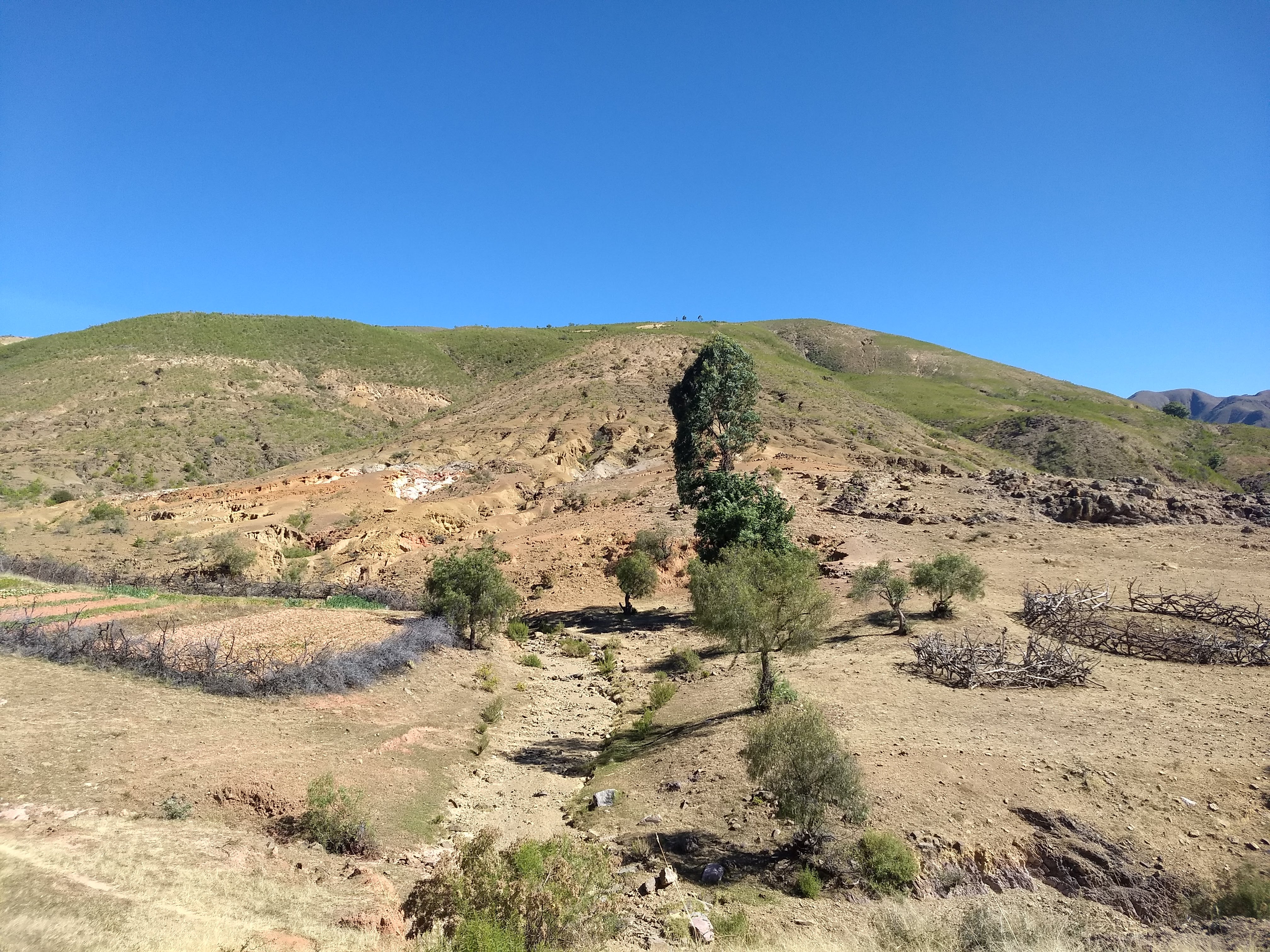 Groentetuin met omheining (links)