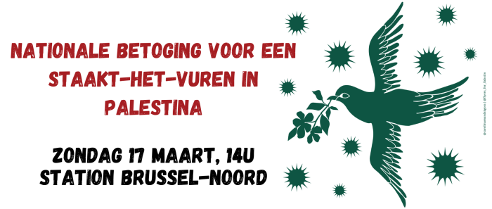 Nationale betoging voor Palestine