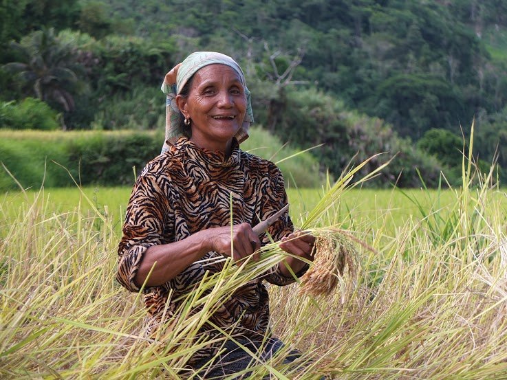 Photograph taken by Lotte and Michiel in the Cordillera (Philippines - 2015)