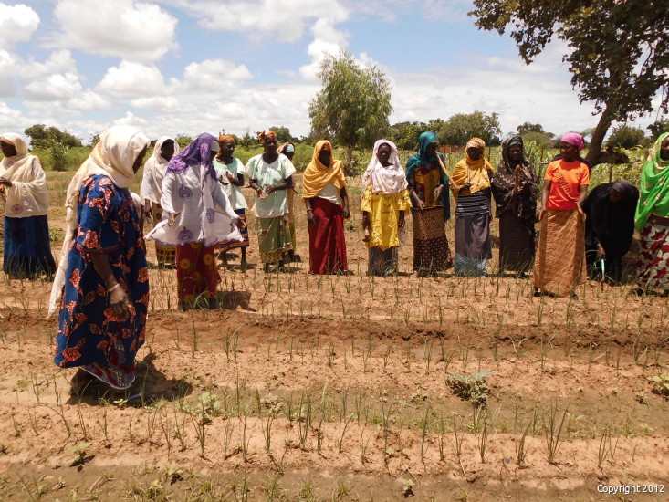 Foto van vrouwengroep gemaakt door partner APEDR Foto van vrouwengroep gemaakt door partner APEDR