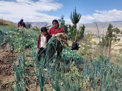 Gediversifieerde moestuin van Ana Isabel Soraya, op de achtergrond is de productie van wortelzaad zi