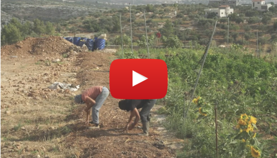 agro-ecology in Palestine