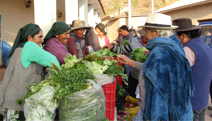 Doña Martina, Doña Idolina, Don Valerio en Don Lorenzo (links op de foto), leden van de producentenorganisatie van het dorp Seivas, gemeente Pasorapa, verkopen hun ecologische producten op de markt, 11 november 2022, fotograaf Juan Morales (Agrecol).