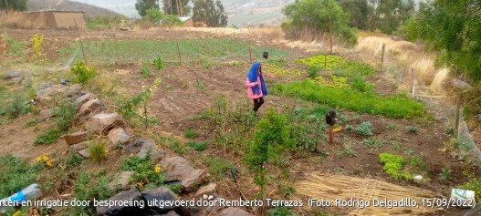 Perceel met diversiteit aan groenten en irrigatie door besproeiing uitgevoerd door Remberto Terrazas