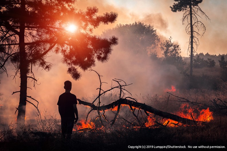 © Lumppini _ Shutterstock - klimaatonrecht laait op