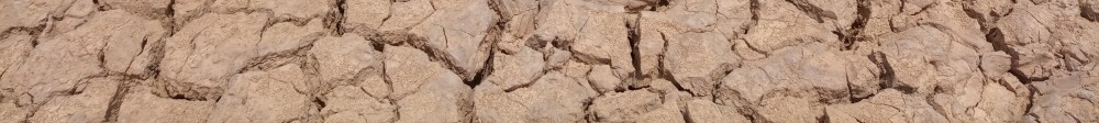 Dry soil 3