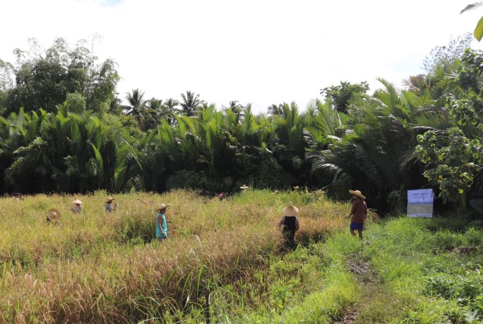agro-ecologie training Filipijnen
