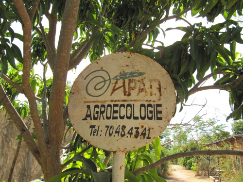 Agro-ecologie in Burkina Faso, bij partners APAD.JPG