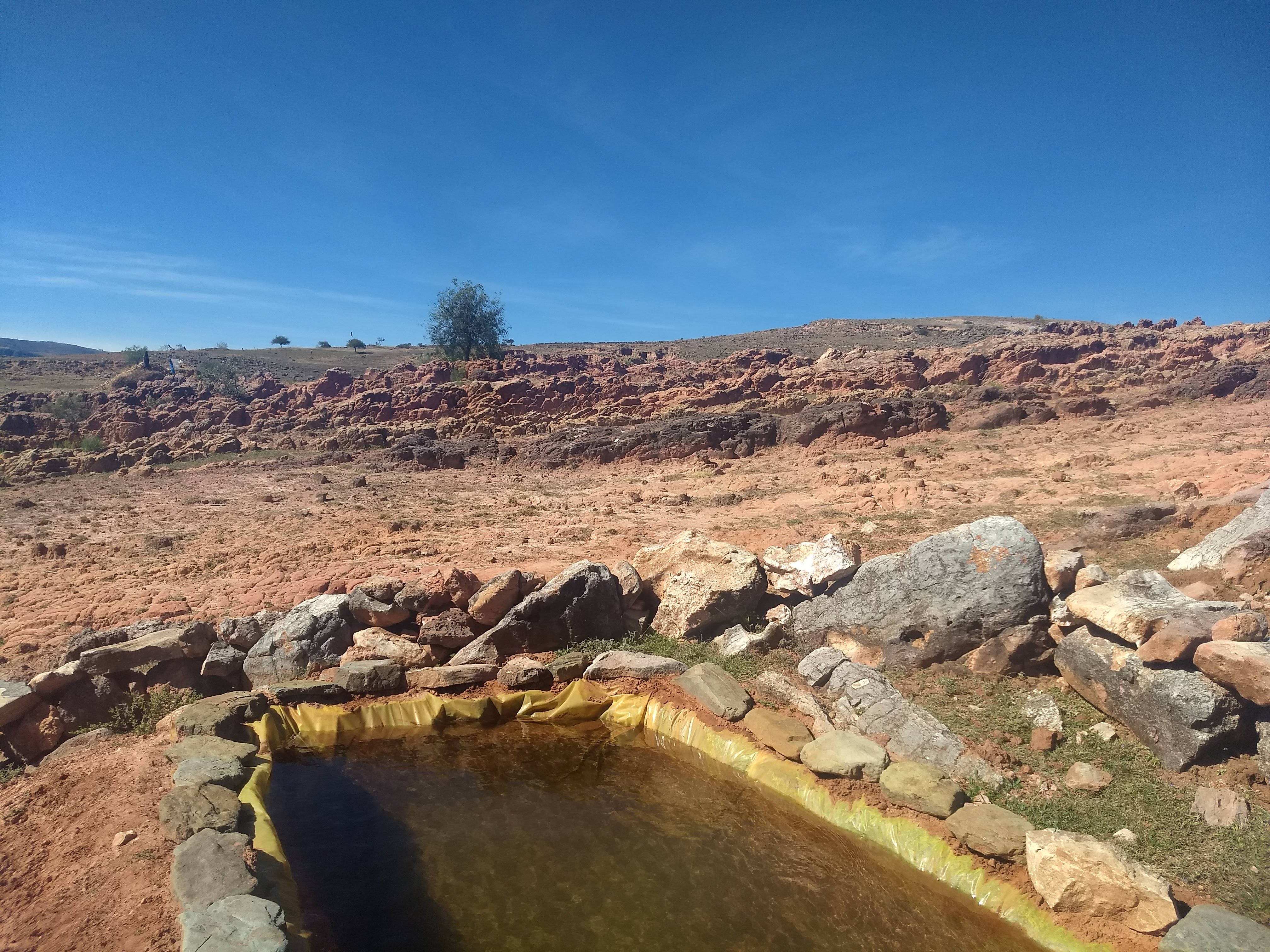 Waterbekken bij groentetuin