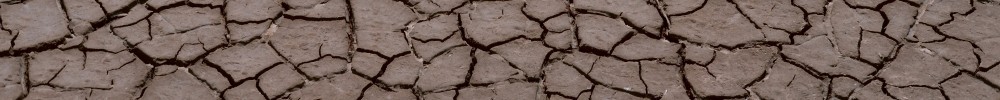 Dry soil 1