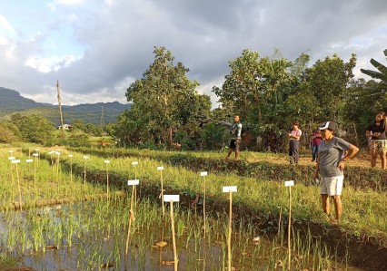 trial farm masipag negros