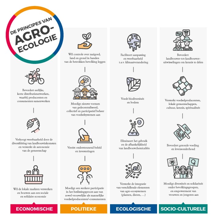 CIDSE_AE_Infographic_NL