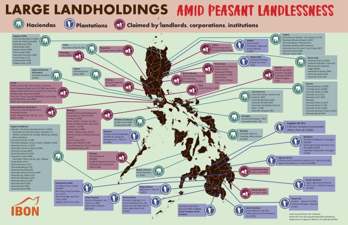 IBON - Large Landholdings