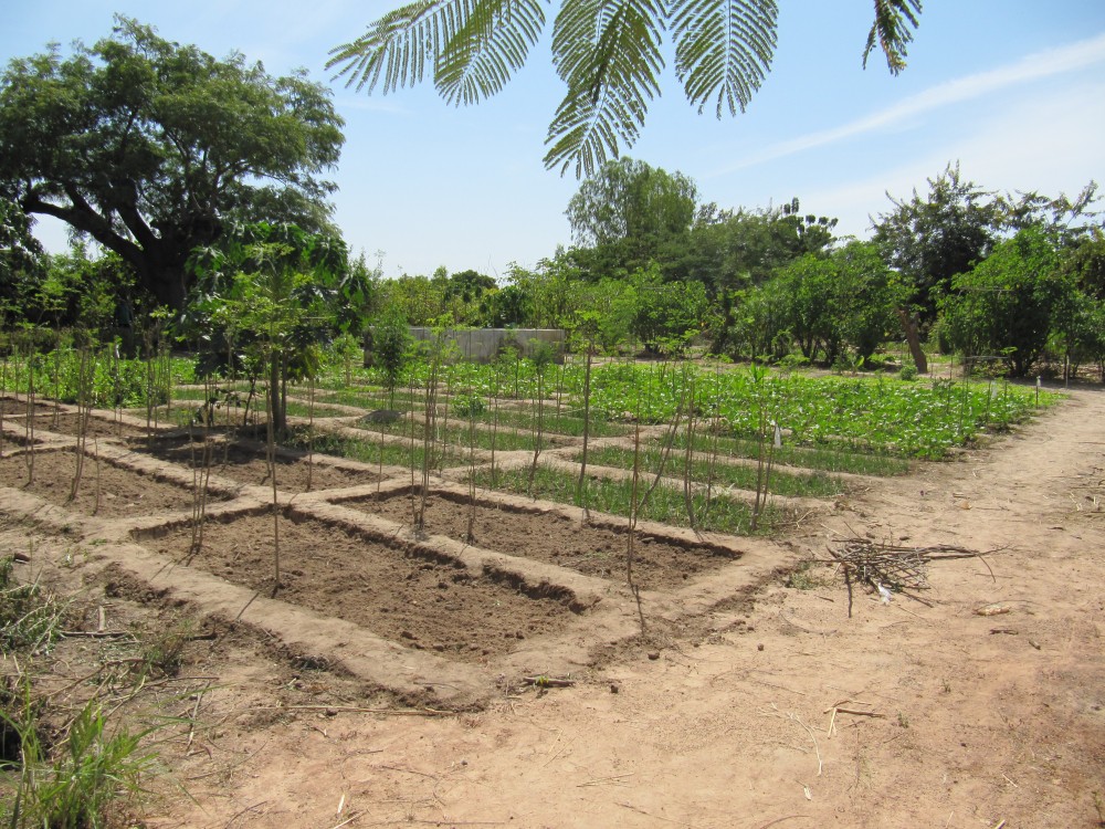 Agro-ecologie in Burkina Faso, bij Solidagro's partner APAD
