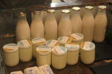 Melk en yoghurt Melk en yoghurt