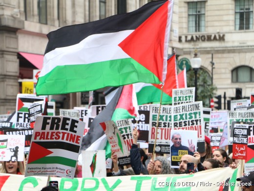 Vlag protest Palestina