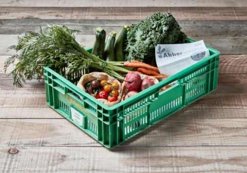 Bij De Kollebloem in Herzele koop je biologische groenten volgens de seizoenen.
