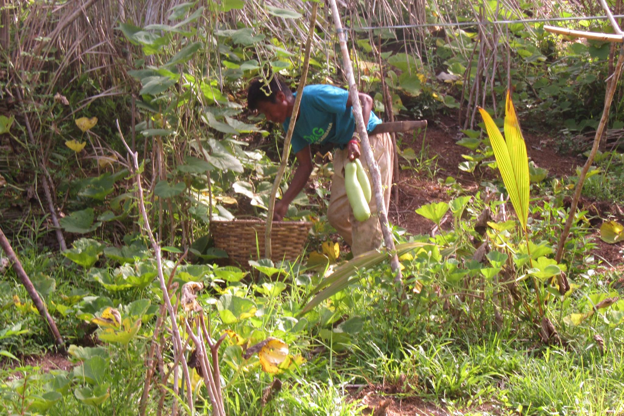 covidresponse2 (1).jpg