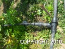 Alaguia Association water system. distribution pipe from main source to households