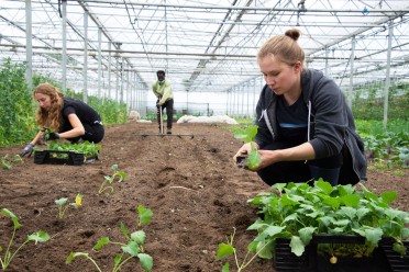 Marjon-kleibeek-planten