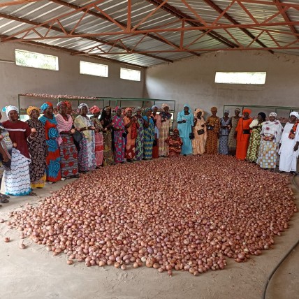 Op bezoek bij de vrouwenfederatie van Toubacouta in Senegal