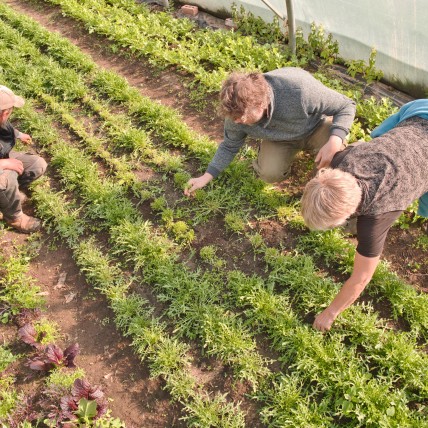 Help jij je boer of boerin een dagje op het veld? Doe mee met De Landbouwbrigades!