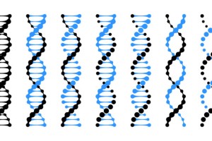 Medical genetic helix model of human dna and rna chain spirals. Bio technology lab tests or healthcare research icons. Double strand connected dots in molecule.