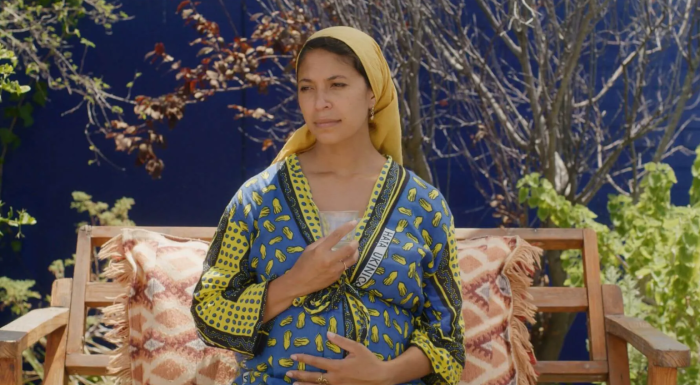 Beeld uit The Last Seed