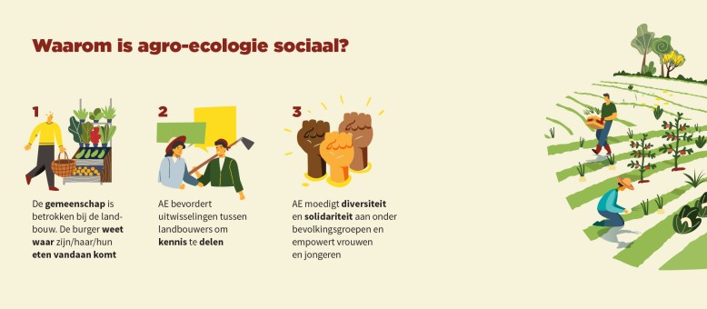 sociale pijler agro-ecologie