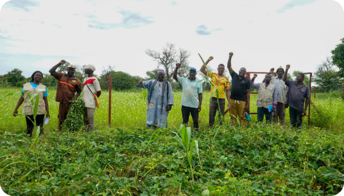 Boeren- en boerinnencoöperatie met wie Terre Douce D'Afrique werkt in Fangasso