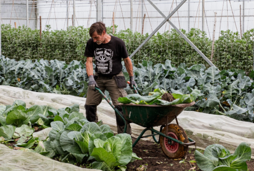 https://landbouwbrigades.be/evenement/meewerkdag-kleibeek-9614