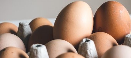 Gezonde en eerlijke voeding is een recht