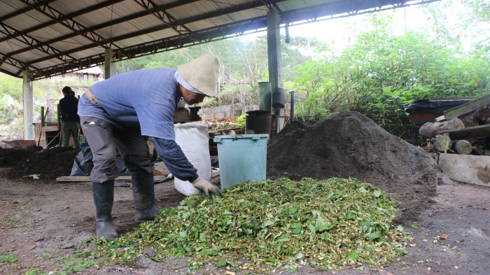 CDPC steunt gemeenschappen met maalmachines om natuurlijke compost te maken. Dat is beter voor de autonomie van de landbouwer en voor de bodem dan chemische mest. © CDPC