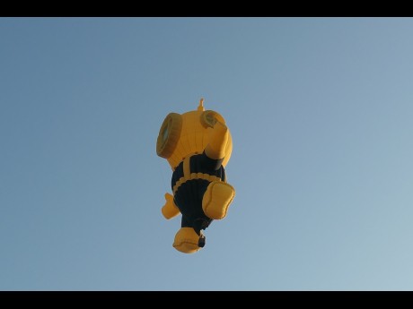 Ballon Marco Van Wesemael
