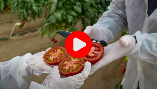 Industry Scandal: The Loss Of Nutrients