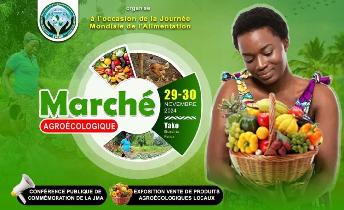 agro-ecologische markt Yako