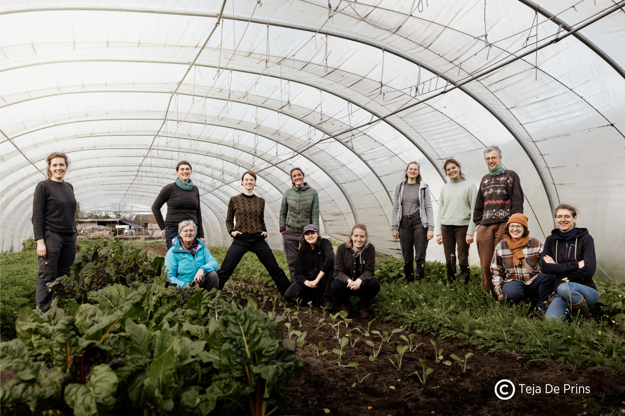 De Landbouwbrigades bij Groentegem De Landbouwbrigades bij Groentegem