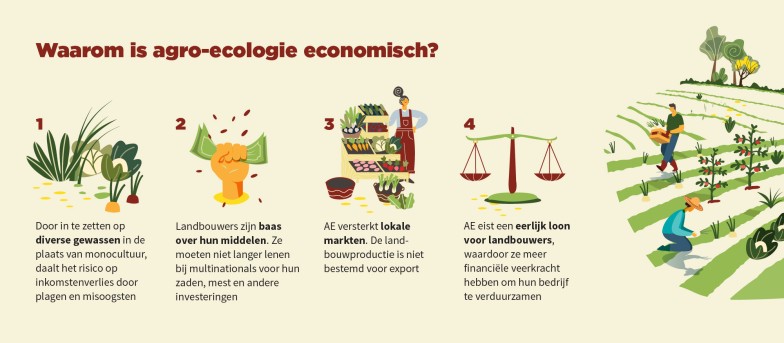 economische pijler agro-ecologie